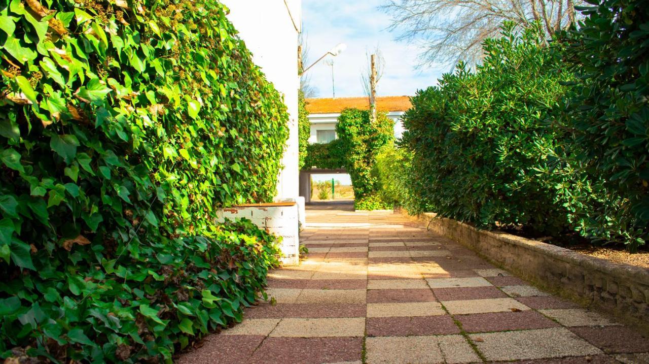 Finca Frutika Βίλα Tomelloso Εξωτερικό φωτογραφία