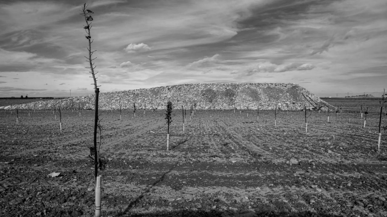 Finca Frutika Βίλα Tomelloso Εξωτερικό φωτογραφία